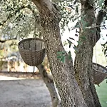 La Taggiasca Apartmán Alassio